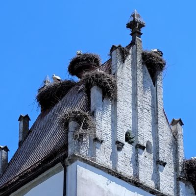 Fahrt-Bad-Saulgau-Moosheim-Munderkingen (14)