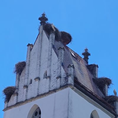 Fahrt-Bad-Saulgau-Moosheim-Munderkingen (15)